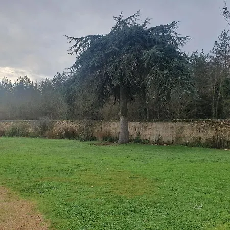 Отель Domaine De La Courbe &